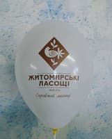 Zhitomir